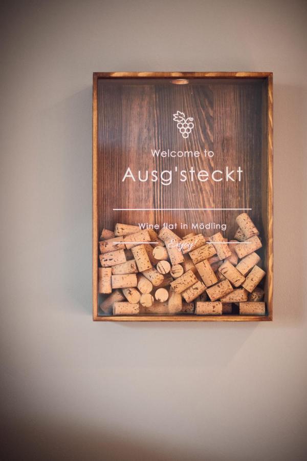 Ausg'Steckt - Wine Flat Modling - Great Location Appartement Buitenkant foto